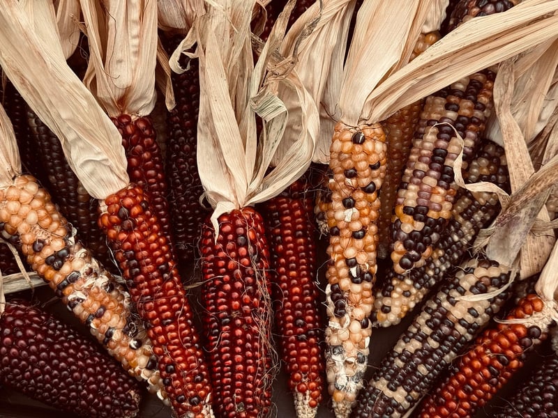 Organic Food Distribution